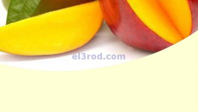 el3rod.com00001-1254
