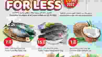 el3rod.com00001-1269