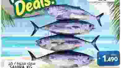 el3rod.com00001-1358
