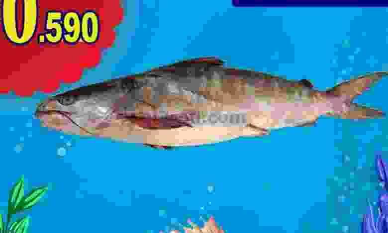 el3rod.com00001-1373