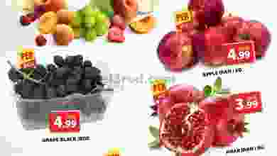 el3rod.com00001-1394