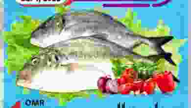 el3rod.com00001-1398