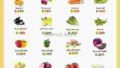 el3rod.com00001-1444