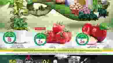 el3rod.com00001-1521