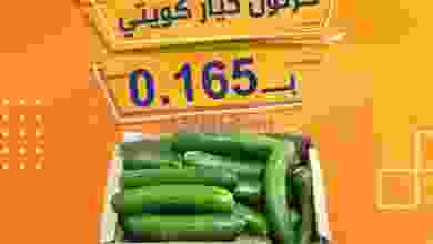 el3rod.com00001-190