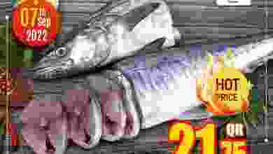el3rod.com00001-271