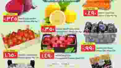 el3rod.com00001-293