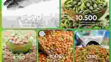 el3rod.com00001-317