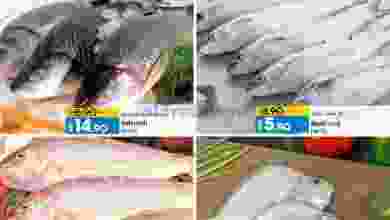 el3rod.com00001-346