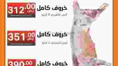 el3rod.com00001-362