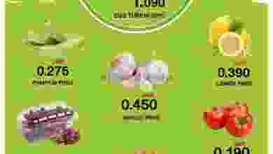 el3rod.com00001-381
