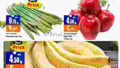 el3rod.com00001-386