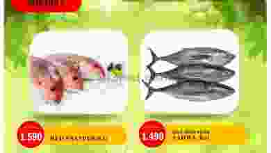 el3rod.com00001-393