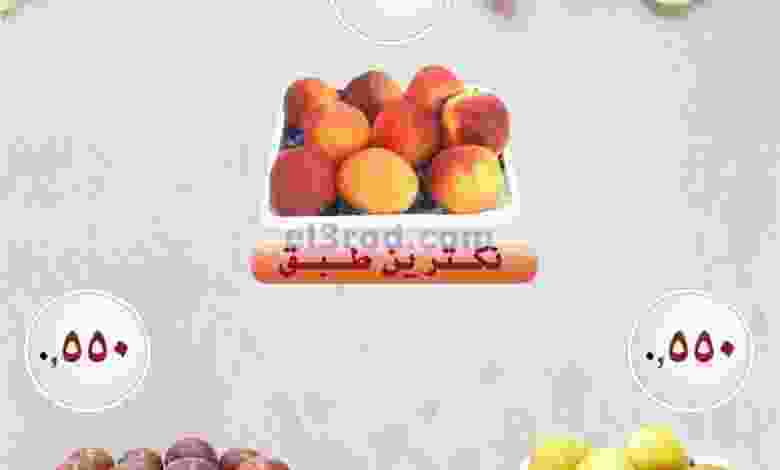 el3rod.com00001-481