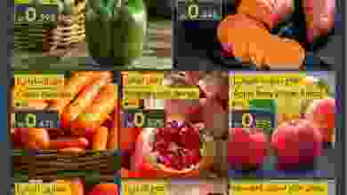 el3rod.com00001-537