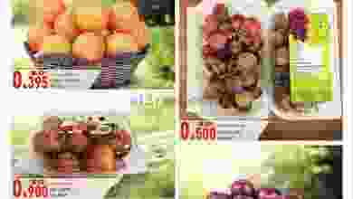 el3rod.com00001-542
