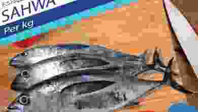 el3rod.com00001-543