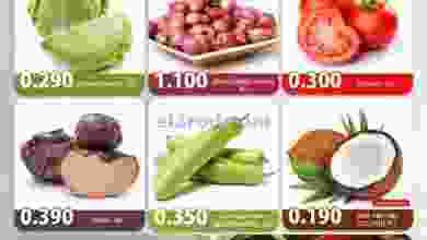 el3rod.com00001-589