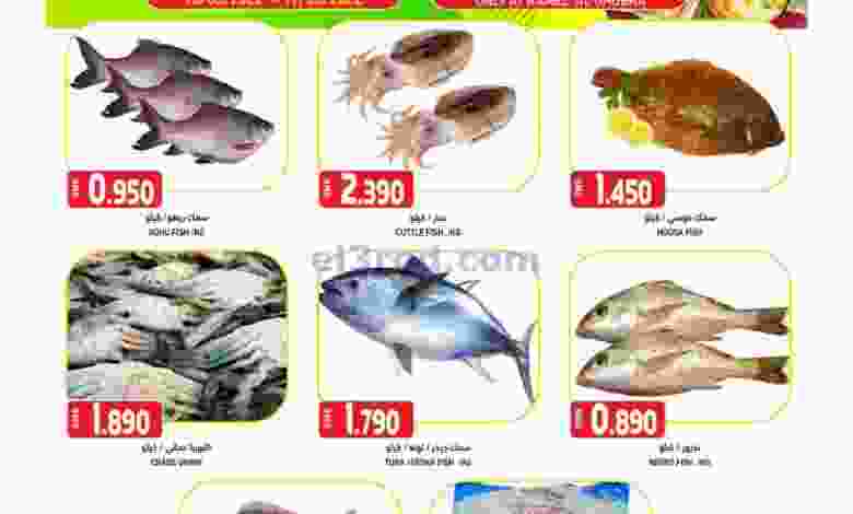 el3rod.com00001-775