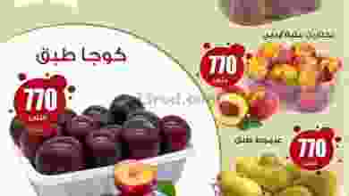 el3rod.com00001-799