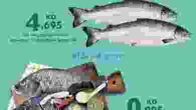 el3rod.com00001-81