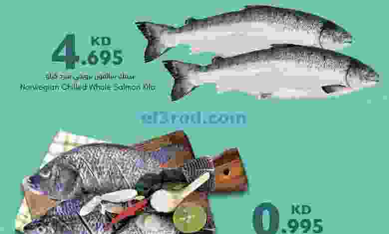 el3rod.com00001-81