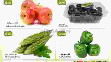 el3rod.com00001-870