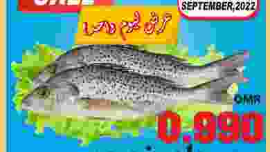 el3rod.com00001-872