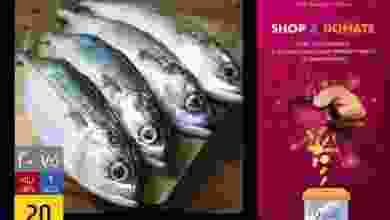 el3rod.com00001-874