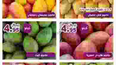 el3rod.com00002-1104