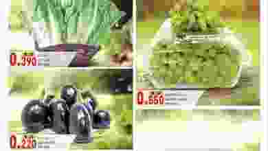 el3rod.com00002-1190