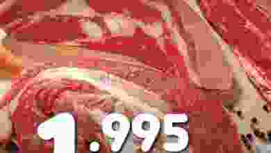 el3rod.com00002-233