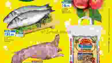 el3rod.com00002-285