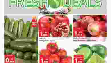 el3rod.com00002-528