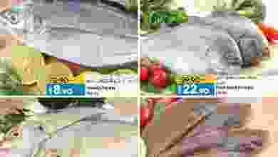 el3rod.com00002-559