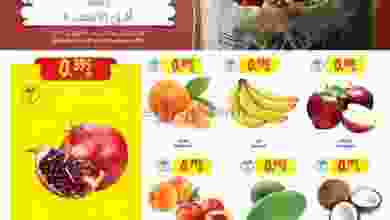 el3rod.com00003-225