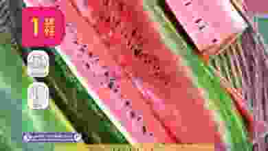 el3rod.com00011-28