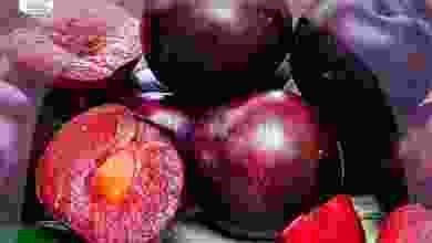 el3rod.com00025-43