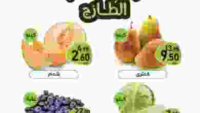 311524162_3195397874044518_4425258568970737139_n