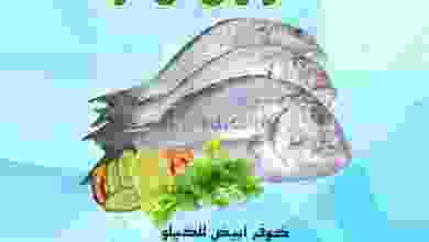 عروض البادية هايبر ماركت عمان|19-10-2022 el3rod.com00001-1027