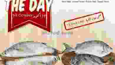 el3rod.com00001-1039