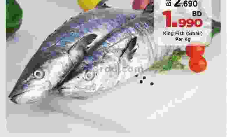 el3rod.com00001-1041