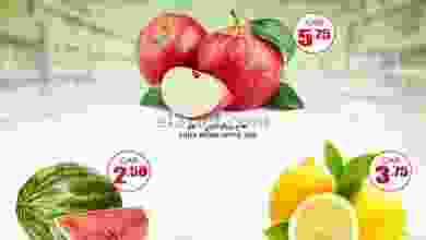 el3rod.com00001-1121