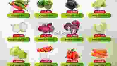 el3rod.com00001-116