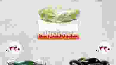 el3rod.com00001-1198