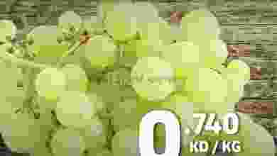 el3rod.com00001-1205
