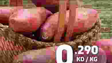 el3rod.com00001-1309