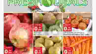 el3rod.com00001-1367