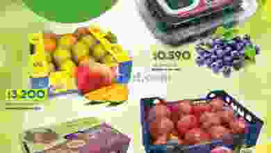 el3rod.com00001-1387