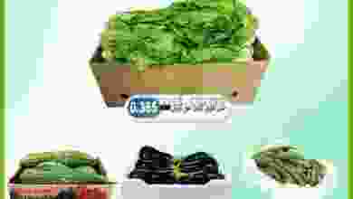 el3rod.com00001-1480